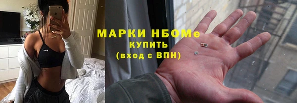 сатива Куйбышев