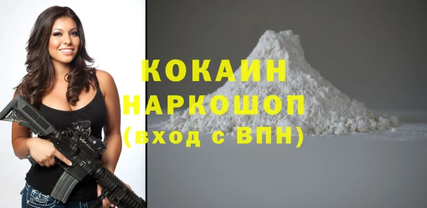 сатива Куйбышев