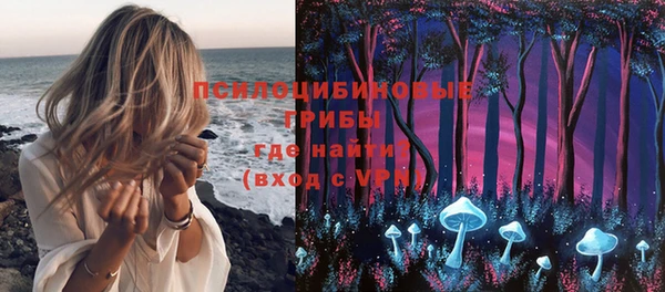 сатива Куйбышев