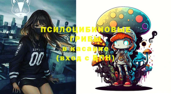 PSILOCYBIN Краснотурьинск