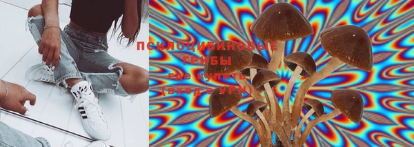 PSILOCYBIN Краснотурьинск