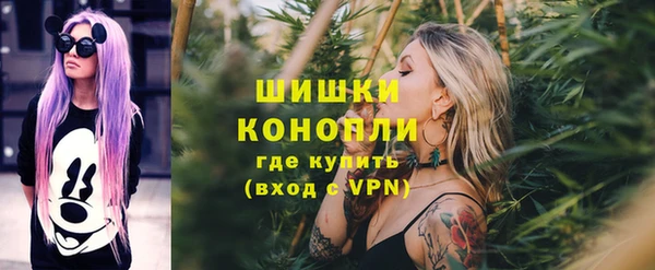 сатива Куйбышев