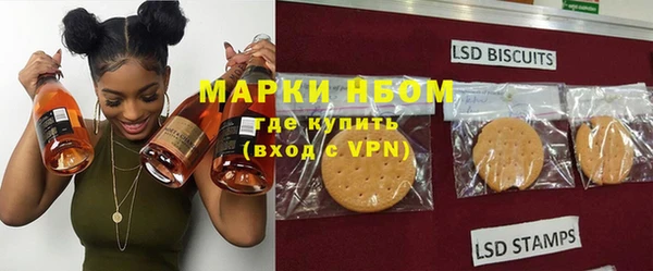 сатива Куйбышев