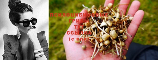 таблы Кукмор