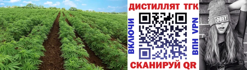 Купить закладки  Балей  ТГК жижа 