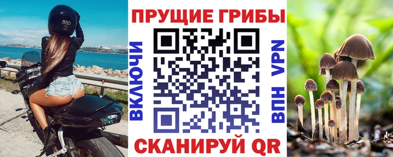 Купить  Балей  Галлюциногенные грибы мухоморы 